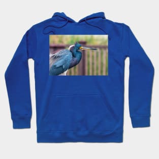 Beauty Of A Tricolored Heron Hoodie